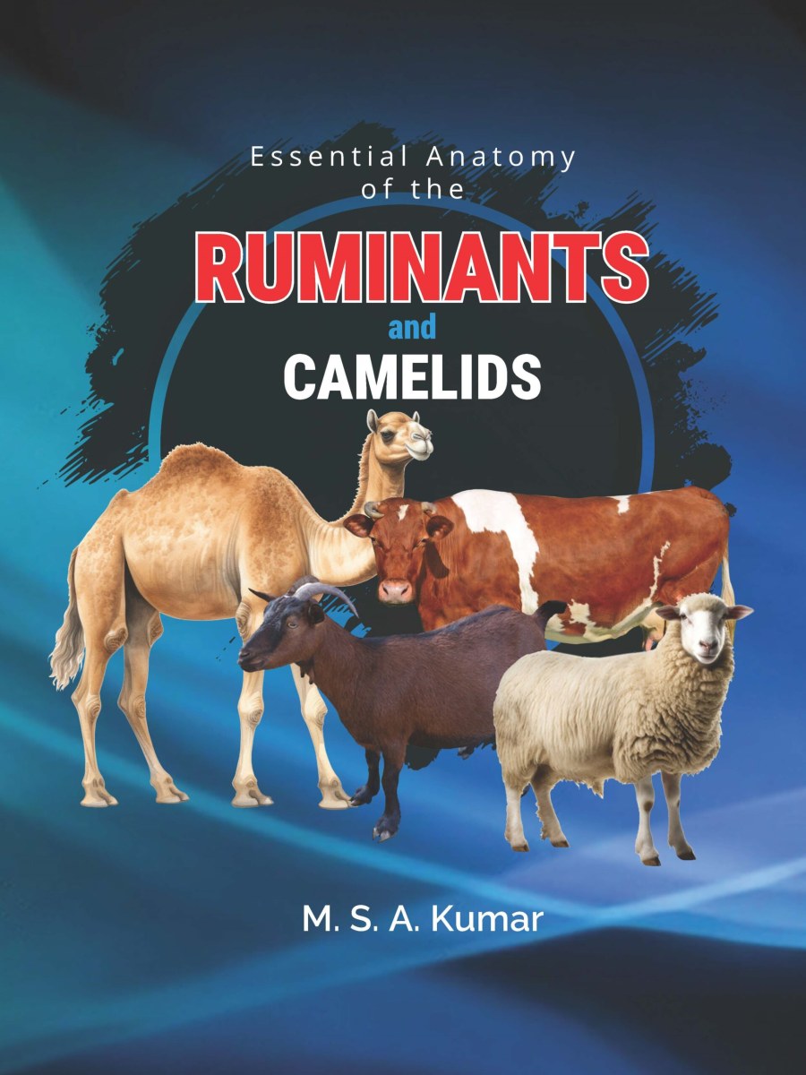 Essential Anatomy of the Ruminants and Camelids